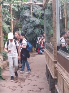 31781802_1953887298017231_4480312589569490944_n