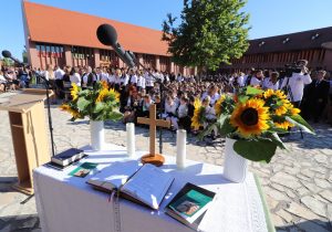 img_9256-2