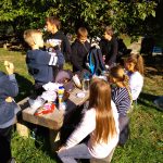 img_20181006_104134