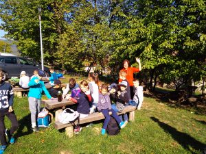 img_20181006_104539