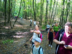 img_20181006_134035