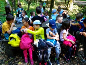 img_20181006_144552