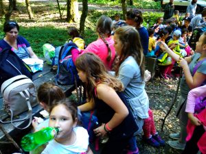 img_20181006_144716