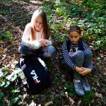img_20181006_144729