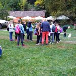 img_20181006_161025