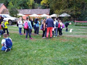 img_20181006_161025