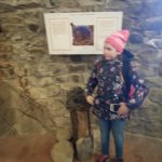 img_20190309_111142