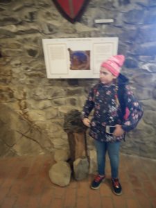 img_20190309_111142
