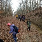 img_20190309_124618