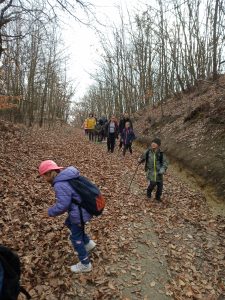 img_20190309_124618