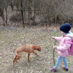 img_20190309_130517