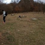 img_20190309_132304