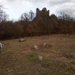 img_20190309_132314