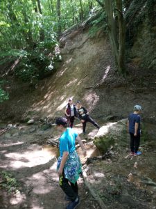 img_20190511_110452