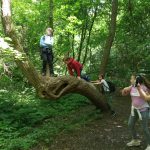 img_20190511_110525