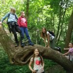 img_20190511_110550