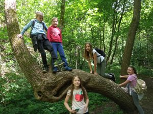 img_20190511_110550