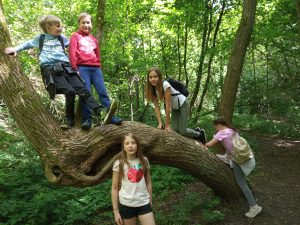 img_20190511_110552