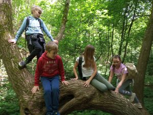 img_20190511_110610