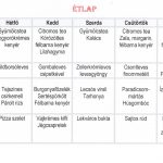 etlap-kicsi