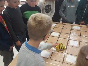312614762_1740524699696971_4956701124305310145_n