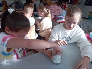 img_20240408_084706