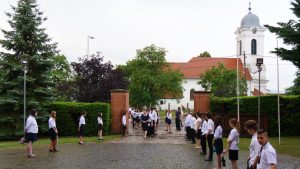 p1133204