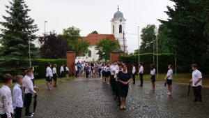 p1133208