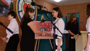 p1133335