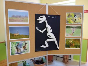 img_20241009_103159