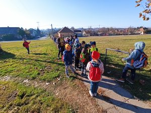 img_20241109_094505