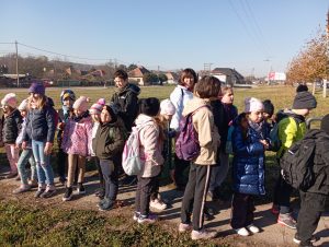 img_20241109_094514
