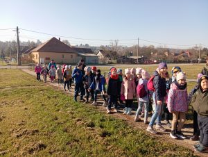 img_20241109_094516