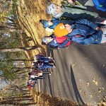 img_20241109_095132