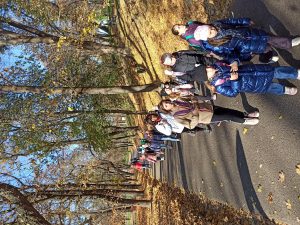 img_20241109_095135