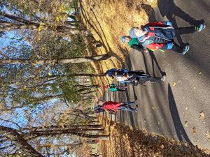 img_20241109_095146