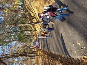 img_20241109_095203