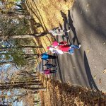 img_20241109_095212