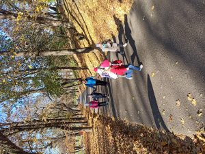 img_20241109_095212