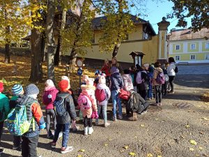 img_20241109_095249
