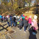 img_20241109_095259