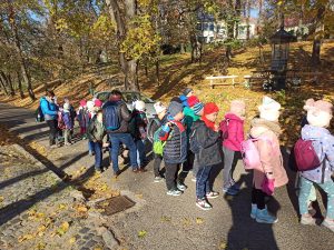 img_20241109_095259