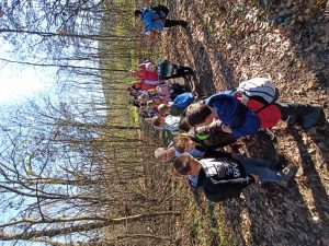 img_20241109_113603