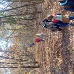 img_20241109_114342