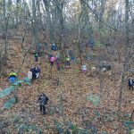 img_20241109_122520
