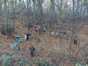 img_20241109_122520