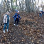 img_20241109_123607