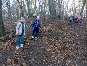 img_20241109_123607