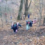 img_20241109_123848