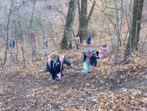 img_20241109_123848